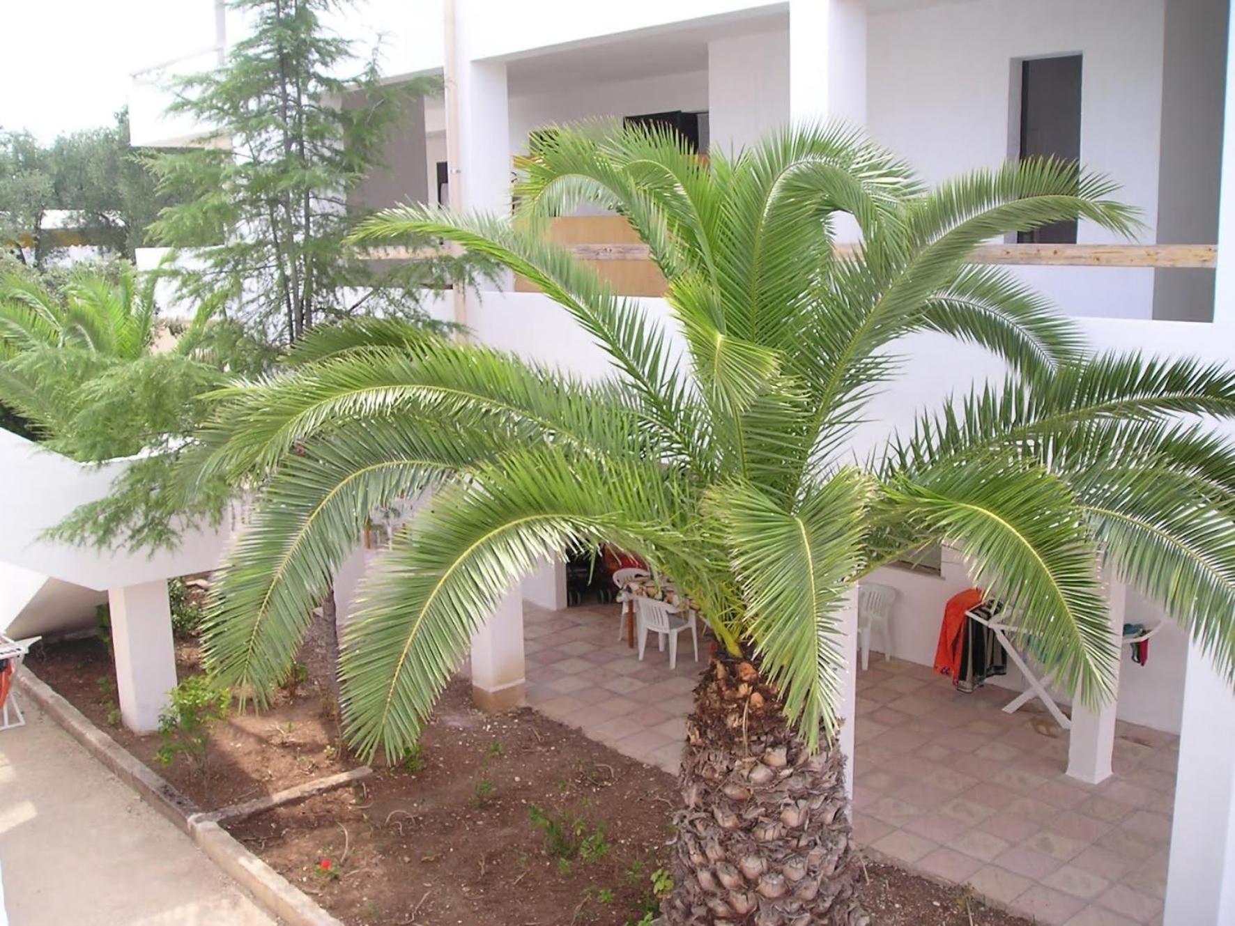 Residence Baia Del Gallo Βιέστε Εξωτερικό φωτογραφία